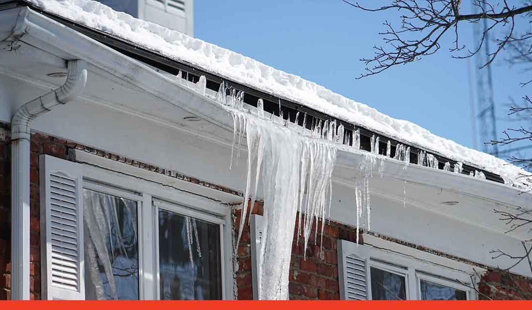 Takvård under vinter